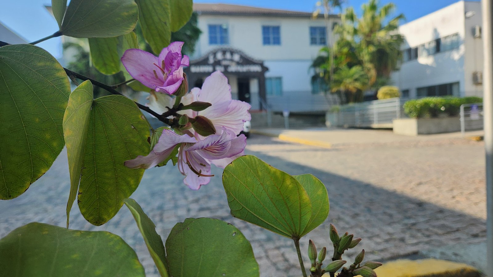 Praça do Bairro da Juventude recebe mutirão neste sábado 